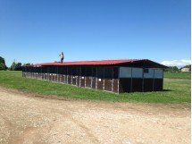 box a noleggio - all'inglese