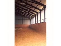 Maneggi per cavalli 03