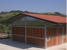 all'inglese con spiovente