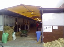 Box a noleggio - testata