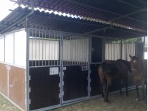 Box a noleggio - in linea