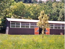 Maneggi per cavalli 01