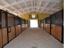 Box cavalli da interno - modello Elite 