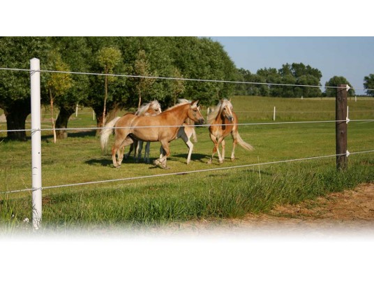 Recinzioni elettriche
