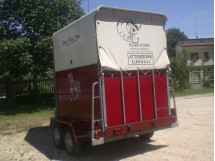 Trailer trasporto 2 cavalli - NP2000 02